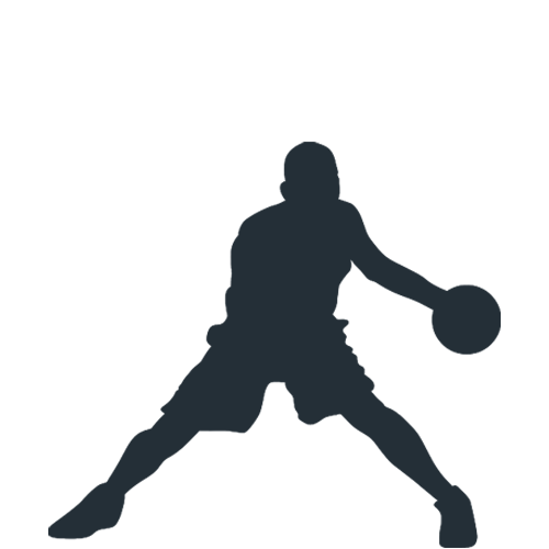 basketball court icon