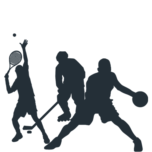 multi-sport icon