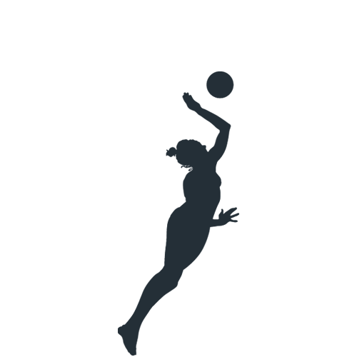 Volleyball court icon
