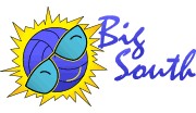 Big South Volleyball Logo