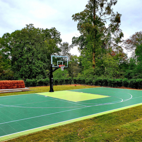 Green backyard multi-court