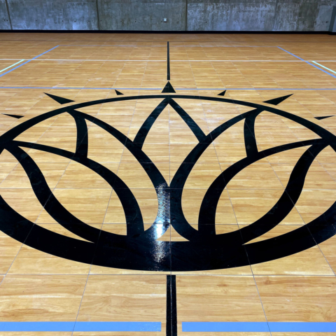 The custom Soleil Lofts logo on the court.