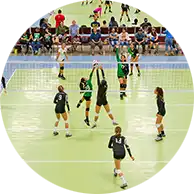 Thumbnail of 50-50 volleyball courts