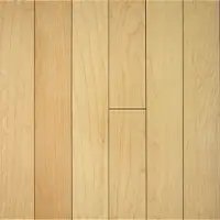 Close up of Indoor Revolution
